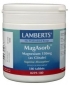 Magasorb (magnesium) Lamberts 180tb