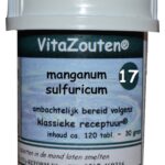 Vita Reform Vitazouten Nr. 17 Manganum Sulfuricum 120st
